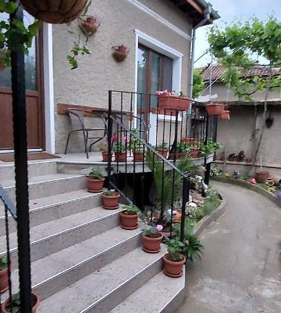Guest House Kukera พาเวลบันยา ภายนอก รูปภาพ