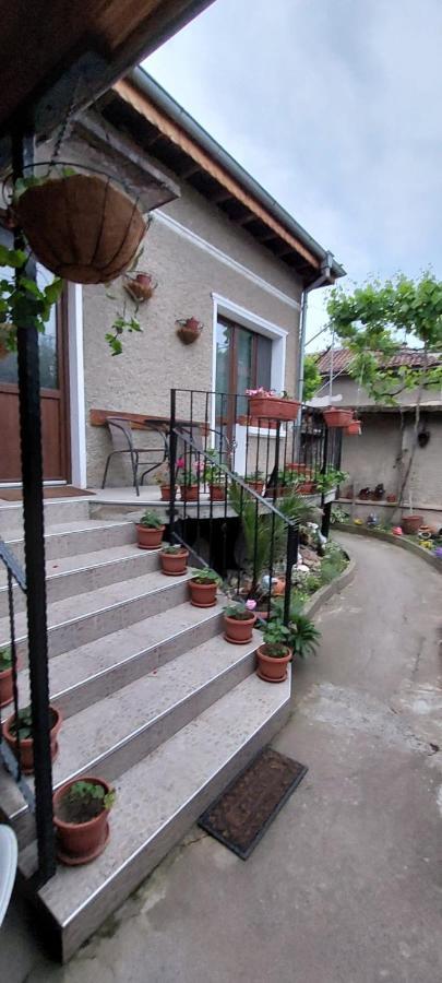 Guest House Kukera พาเวลบันยา ภายนอก รูปภาพ