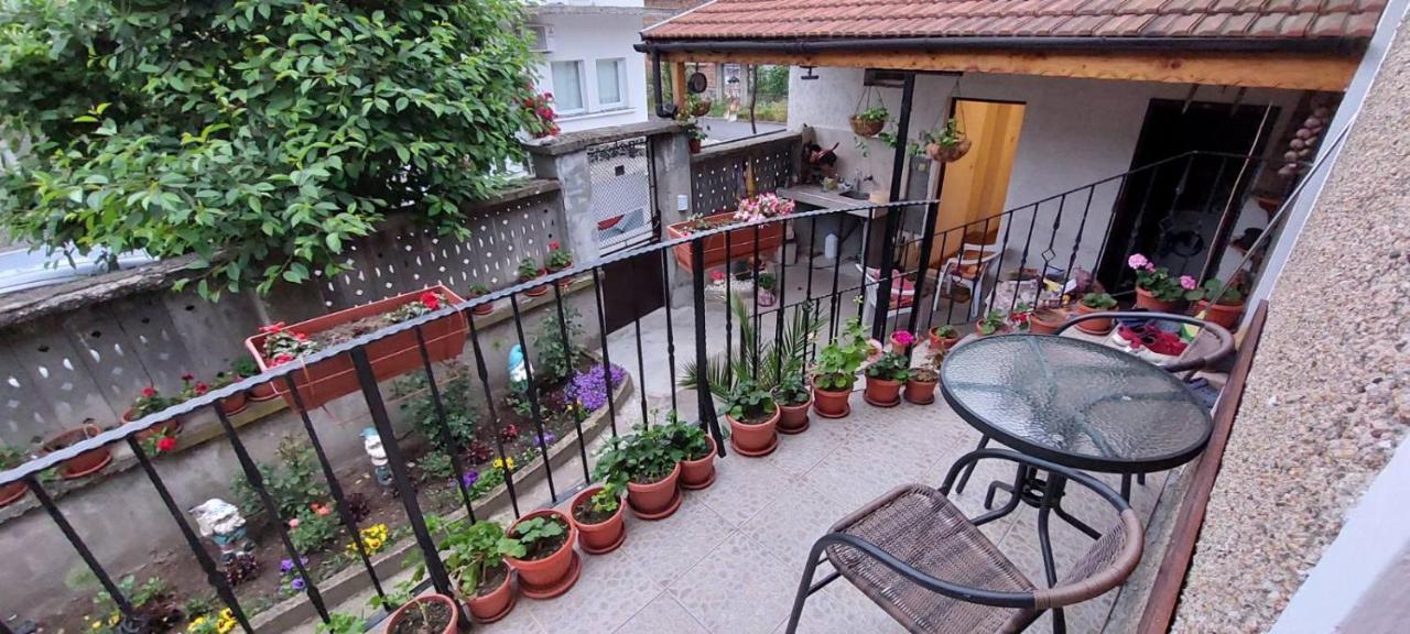 Guest House Kukera พาเวลบันยา ภายนอก รูปภาพ